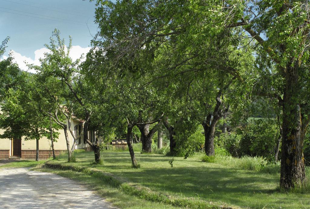 Agriturismo Il Casalone Montepulciano Stazione Eksteriør billede